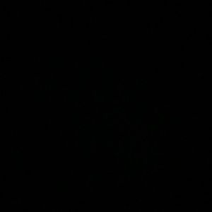 Meet your Posher, Bailey